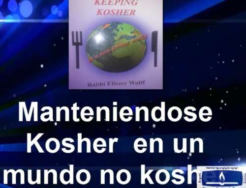 Mateniendose kosher en un NO Mundo Kosher